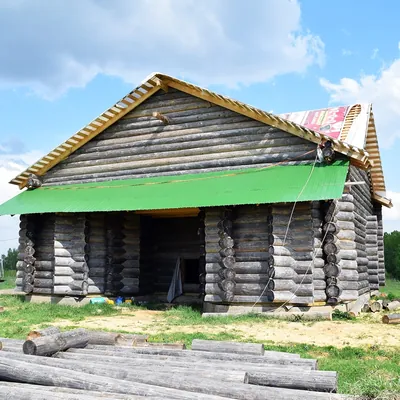 Работы Дерево и краска — фото №249